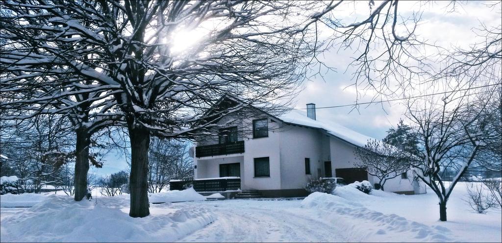 Apartment Lipa Irinovac Ruang foto